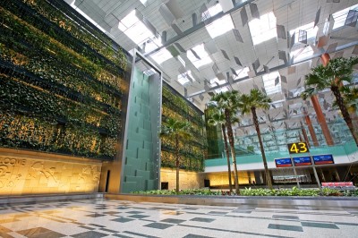 The Green Wall at Changi Airport, Terminal 3