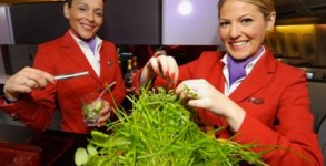 Herbs grown on planes?