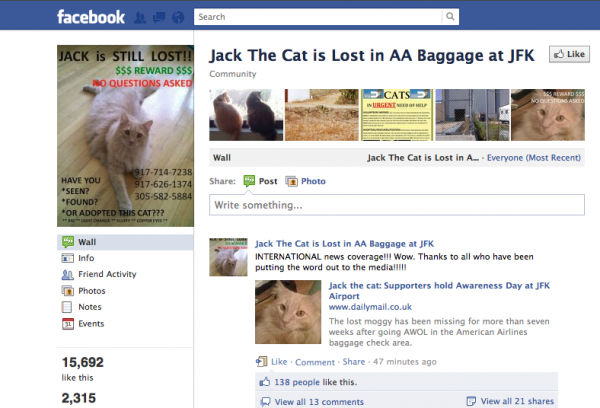 This week: a missing cat, the worst airport and more