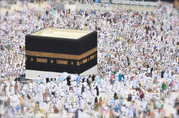 This week: Pilgrims stranded, a fake pilot, refuelling problems & more