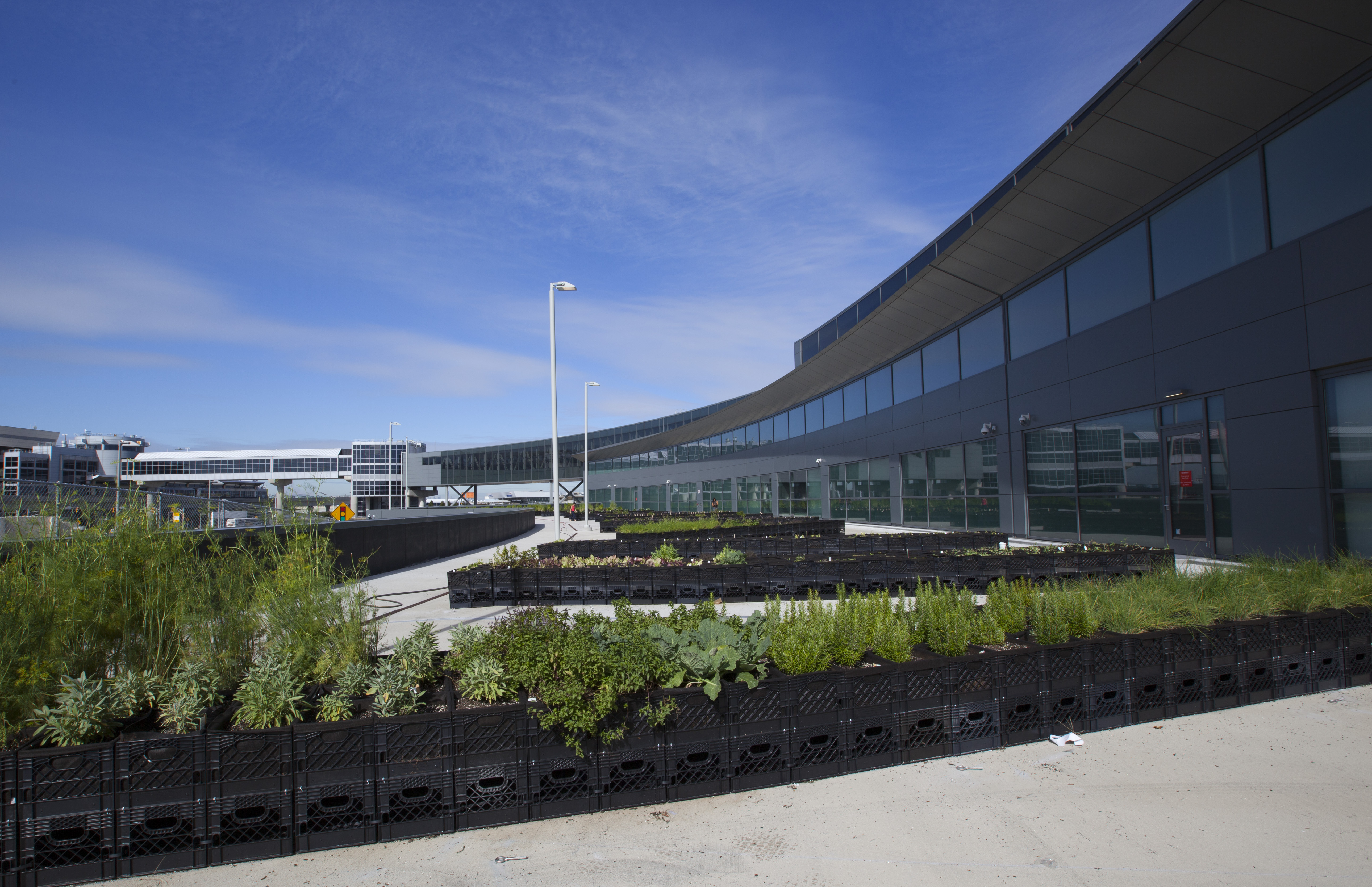 This week: Jet Blue opens garden at JFK, the art of the airport tower & more